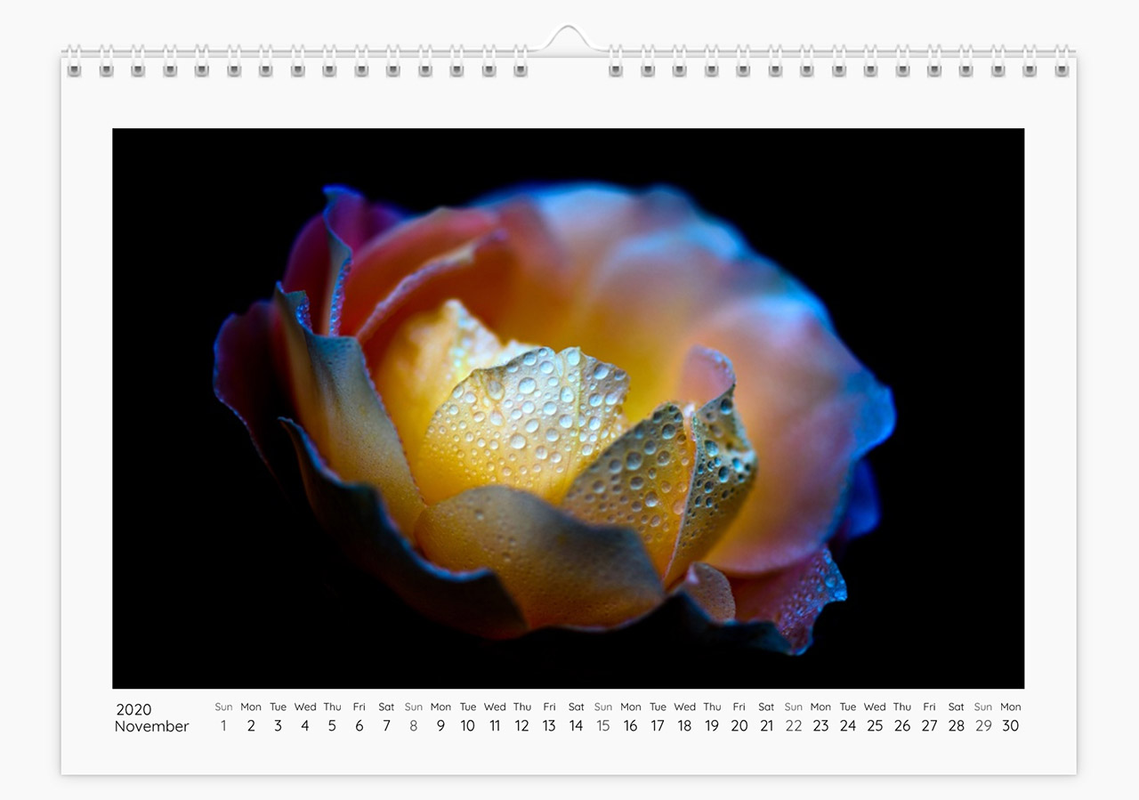 Fine art flower photography by Roland Pokrywka - calendar for 2020