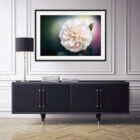 Rose flower fine art house wall art, canvas, print