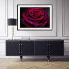 Rose flower fine art house wall art, canvas, print