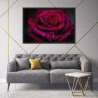 Rose flower fine art house wall art, canvas, print