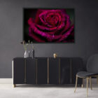Rose flower fine art house wall art, canvas, print