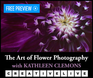 Learn The Art of Flower Photography with Kathleen Clemons on Creative Live